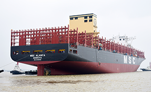 MSC Alanya - 12200 TEU