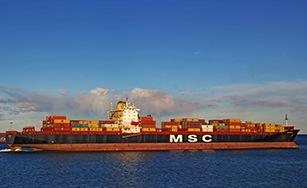 MSC Carole - 12200 TEU